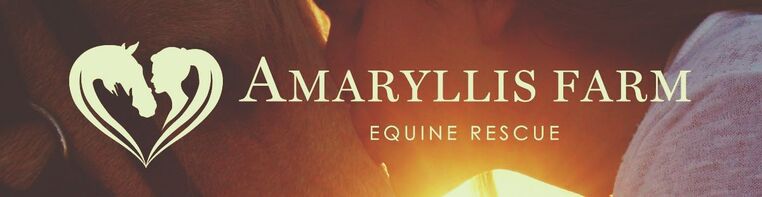 AMARYLLIS FARM EQUINE RESCUE & HOME FOR ELDERLY HORSES